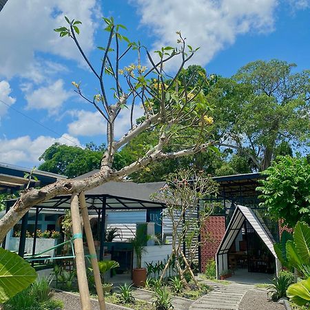 The Jungle Hostel Canggu Exterior photo